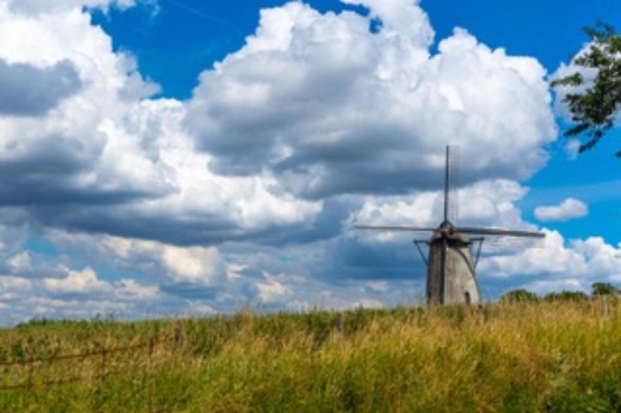 Vlaamse Ardennen Vakantiehuis Casa Caliente Met Wellness Avelgem Esterno foto