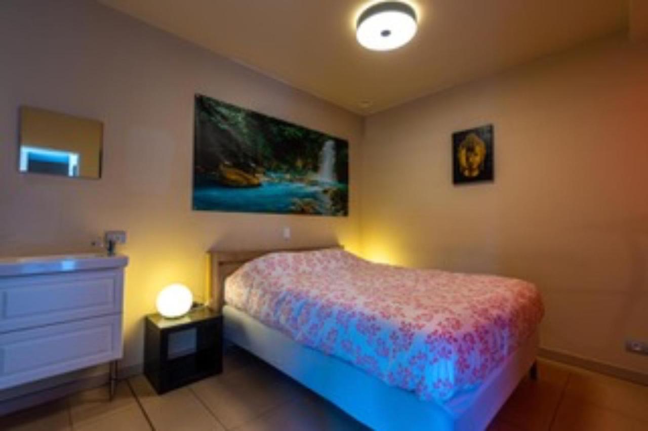 Vlaamse Ardennen Vakantiehuis Casa Caliente Met Wellness Avelgem Esterno foto