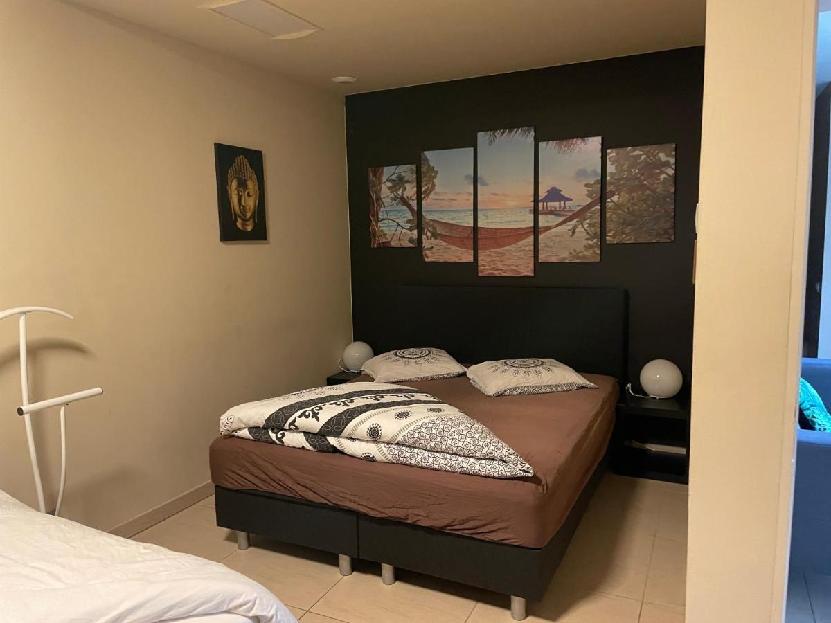 Vlaamse Ardennen Vakantiehuis Casa Caliente Met Wellness Avelgem Esterno foto